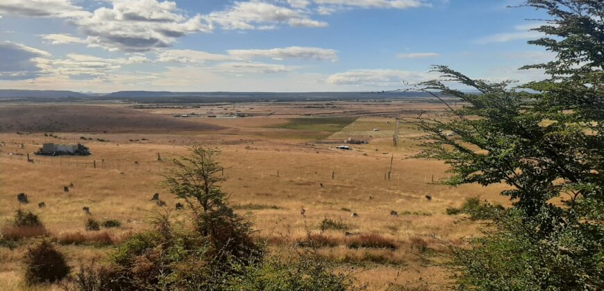 Terrenos en Cerro Dorotea, Parcela 30