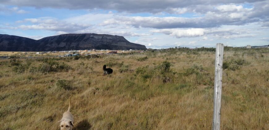 SE VENDE HUERTO DE MEDIA HECTÁREA , EN CAMINO 1, EN PUERTO NATALES