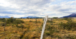 SE VENDE HUERTO DE MEDIA HECTÁREA , EN CAMINO 1, EN PUERTO NATALES