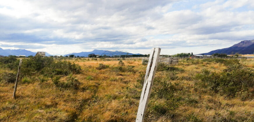 SE VENDE HUERTO DE MEDIA HECTÁREA , EN CAMINO 1, EN PUERTO NATALES