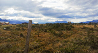 SE VENDE HUERTO DE MEDIA HECTÁREA , EN CAMINO 1, EN PUERTO NATALES