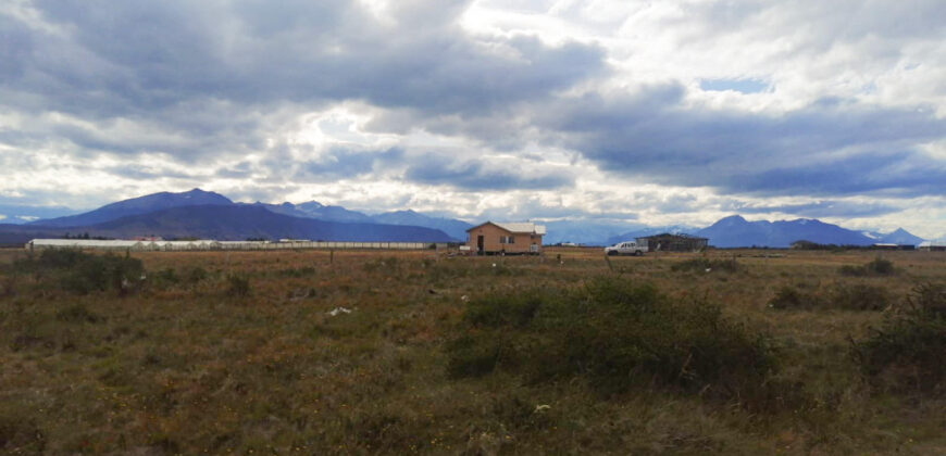 SE VENDE HUERTO DE MEDIA HECTÁREA , EN CAMINO 1, EN PUERTO NATALES