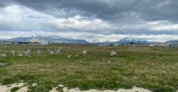 TERRENO DE MEDIA HECTÁREA, SECTOR HUERTOS FAMILIARES DE PUERTO NATALES