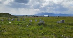 TERRENO DE MEDIA HECTÁREA, SECTOR HUERTOS FAMILIARES DE PUERTO NATALES