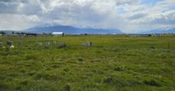 TERRENO DE MEDIA HECTÁREA, SECTOR HUERTOS FAMILIARES DE PUERTO NATALES