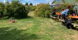 EXCEPCIONAL PROPIEDAD COMERCIAL FRENTE A LA PLAZA DE ARMAS DE PUERTO NATALES