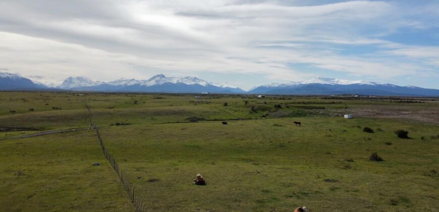 🌿 SE VENDE TERRENO DE ½ HECTÁREA EN PUERTO BORIES – PUERTO NATALES